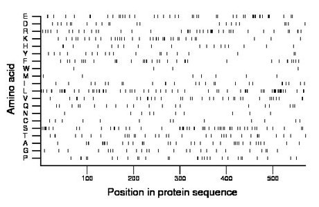 amino acid map