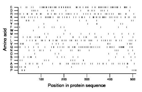 amino acid map