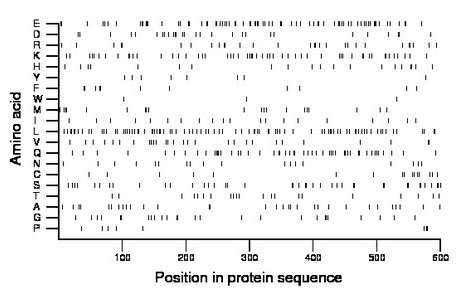 amino acid map