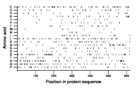 amino acid map