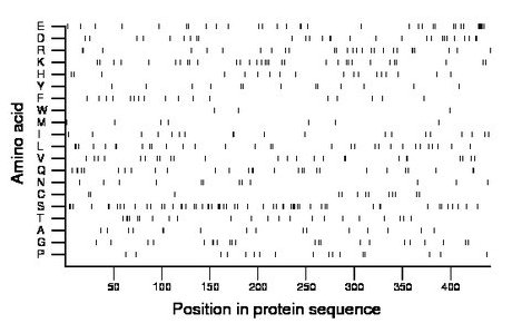 amino acid map