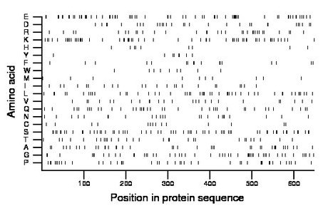 amino acid map