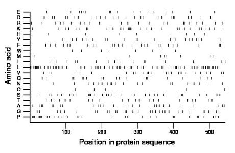 amino acid map