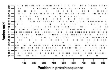 amino acid map