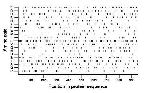 amino acid map