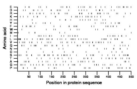 amino acid map