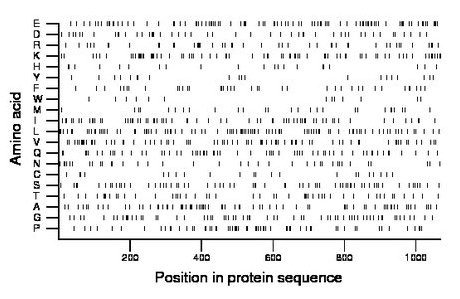 amino acid map