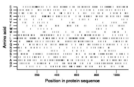 amino acid map