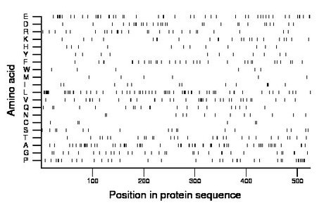 amino acid map