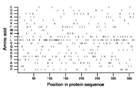 amino acid map