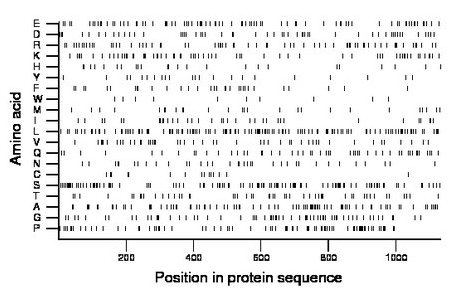 amino acid map