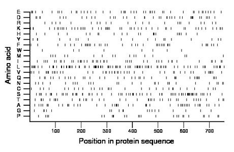 amino acid map