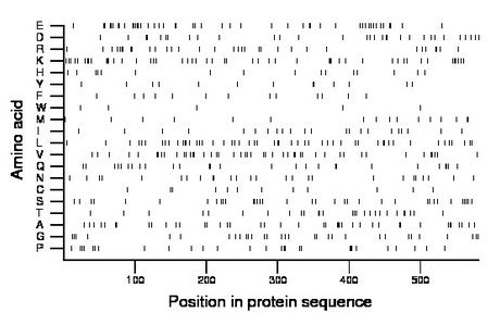 amino acid map