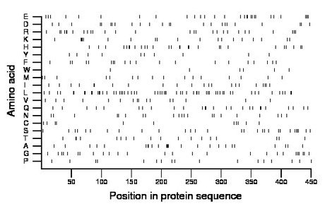 amino acid map