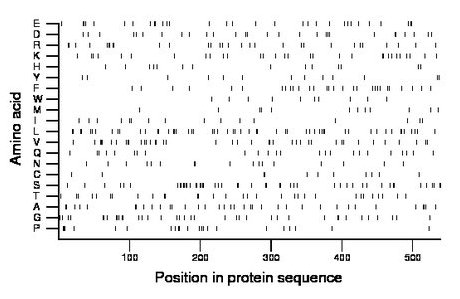 amino acid map