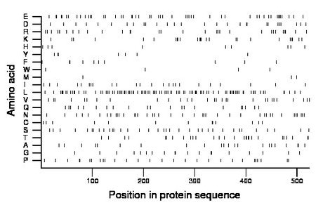 amino acid map