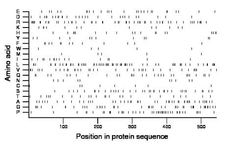 amino acid map