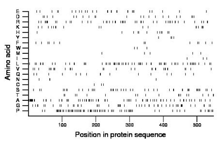 amino acid map