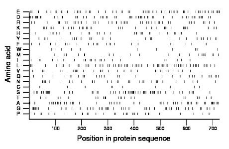 amino acid map