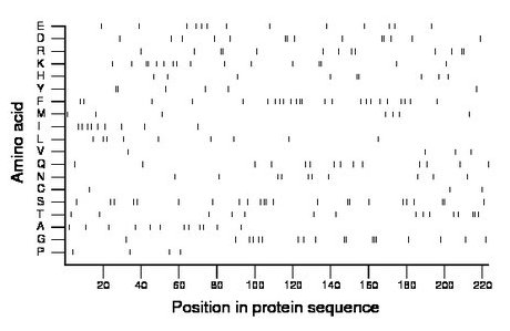 amino acid map