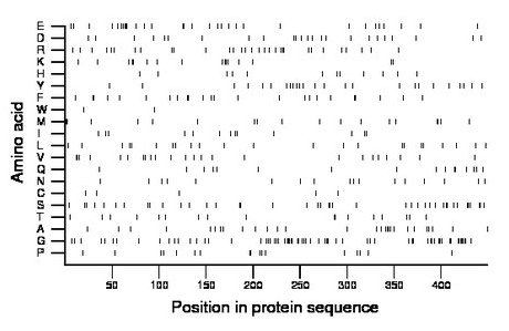 amino acid map