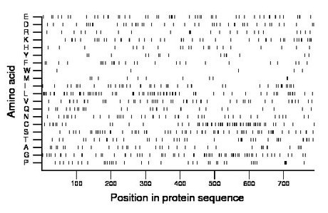 amino acid map