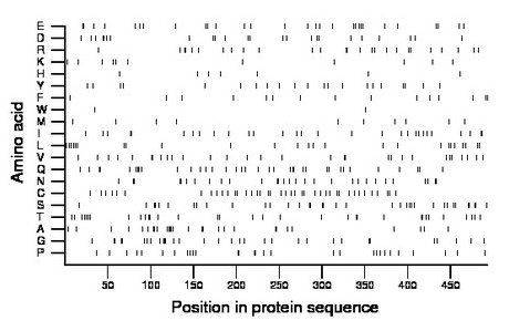 amino acid map