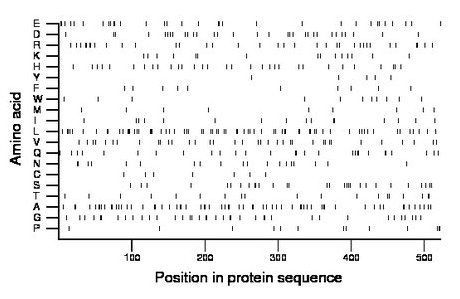 amino acid map