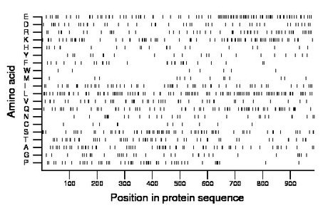 amino acid map