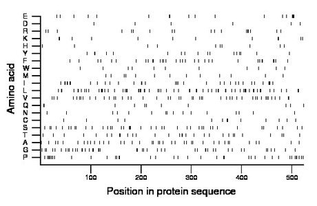 amino acid map