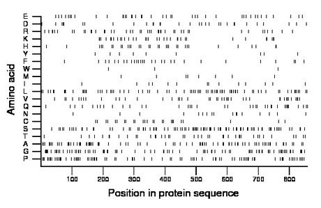 amino acid map