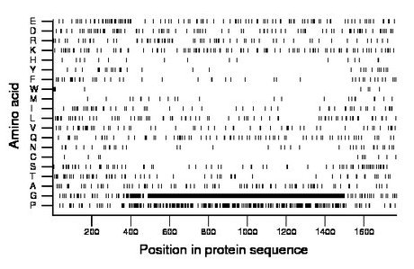 amino acid map