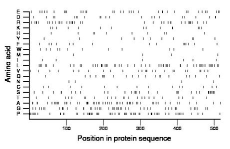 amino acid map