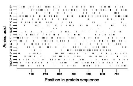 amino acid map