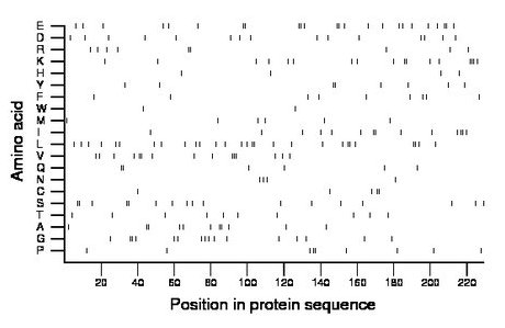 amino acid map