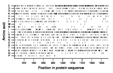 amino acid map