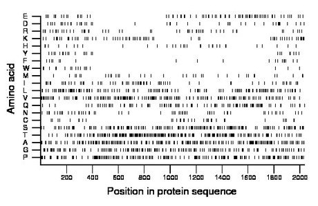 amino acid map