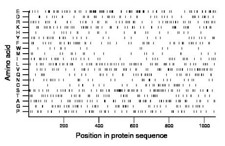 amino acid map