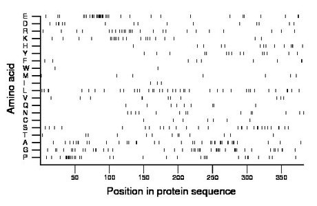 amino acid map