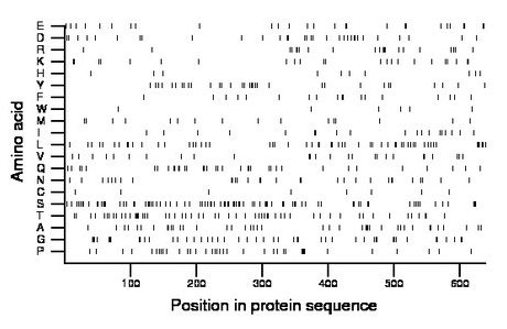 amino acid map