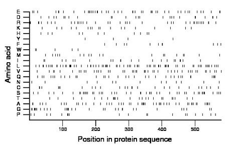 amino acid map