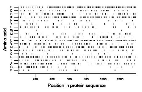 amino acid map