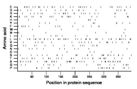 amino acid map