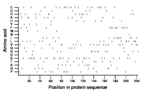 amino acid map