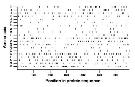 amino acid map