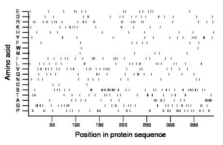 amino acid map