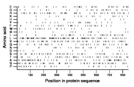 amino acid map