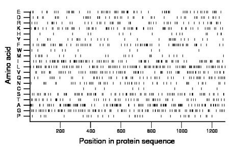 amino acid map