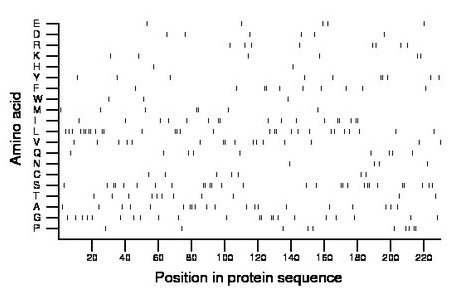 amino acid map