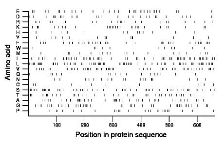 amino acid map